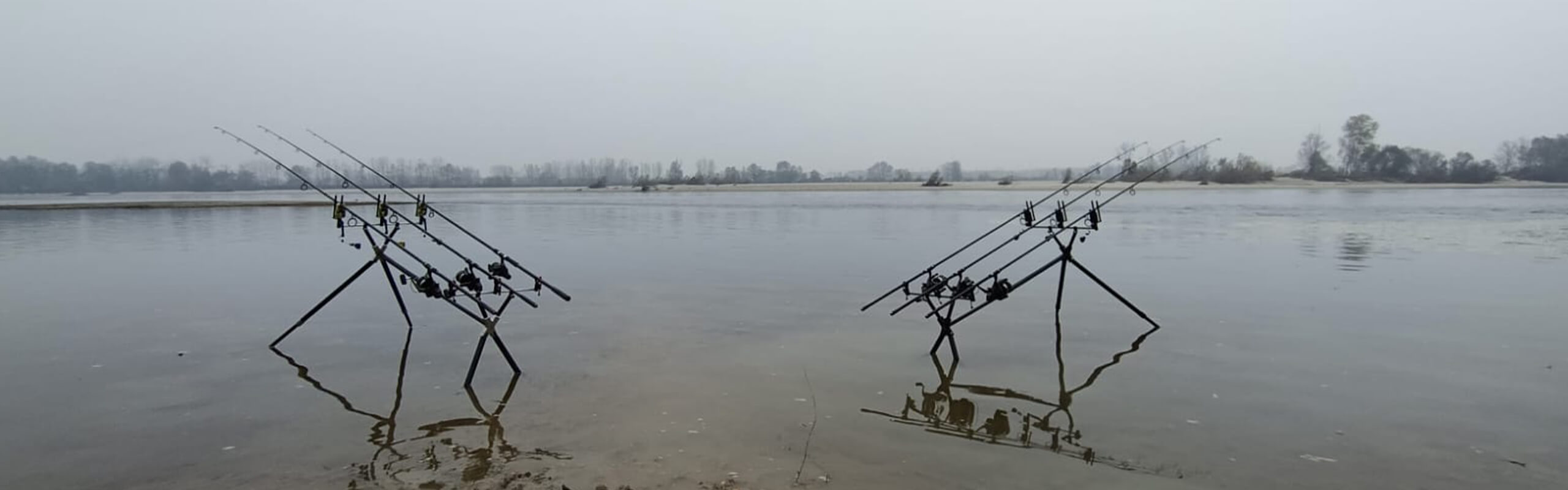 Immagine canne da pesca